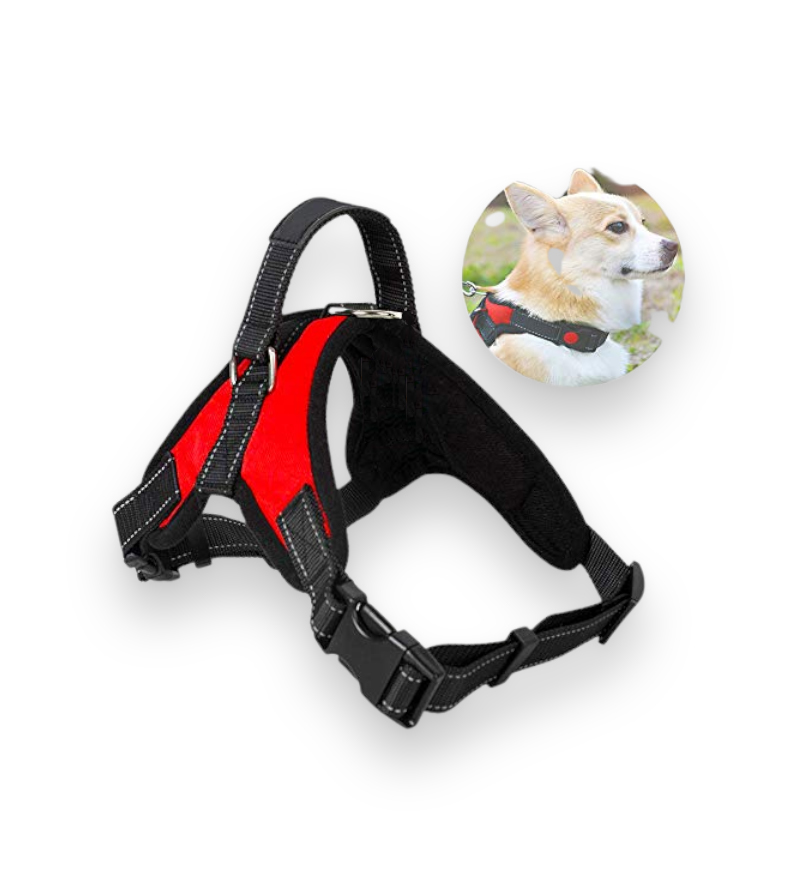 0010602095-CHALECO YSA T-XL (ARJJ216)-1-CONVET