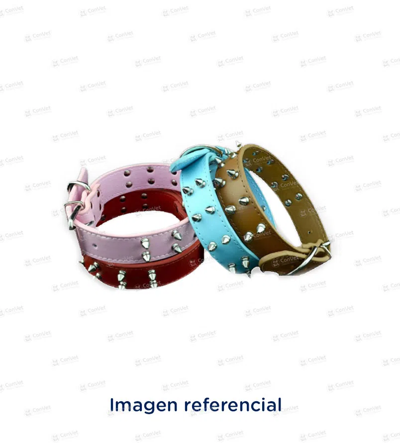 0010602005-COLLAR-CON-PUAS-DOBLE-FILA-T-M.webp