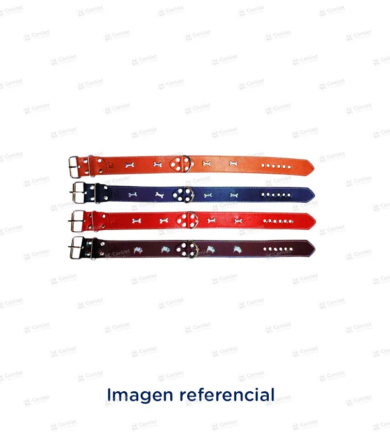 0010602035-COLLAR-ESPECIAL-T-XL.webp