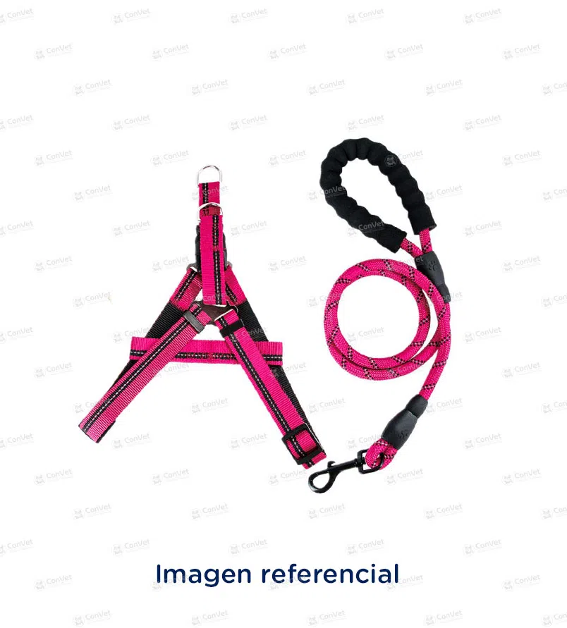 0010602281-ARNES-TIP-TOP-IMPORTADO-T-L-TIWX020.webp