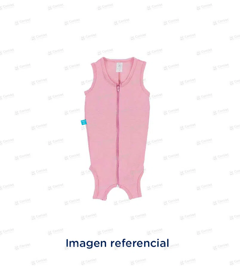 0010602788-FAJA-MODELO-HEMBRA-T-6ECONOMICO.webp