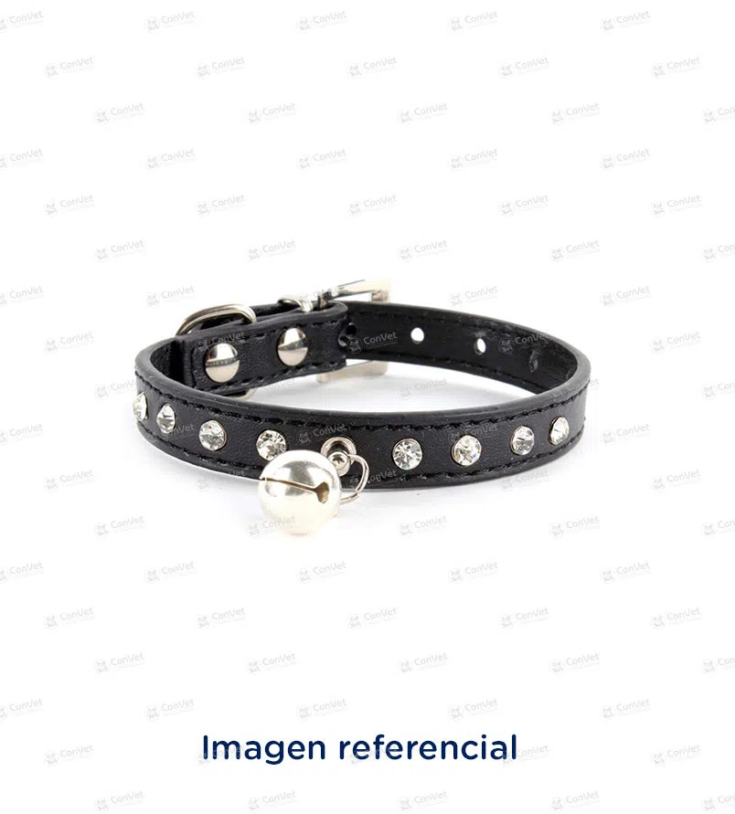 0010602947-COLLAR-PARA-GATOS-T-1.webp