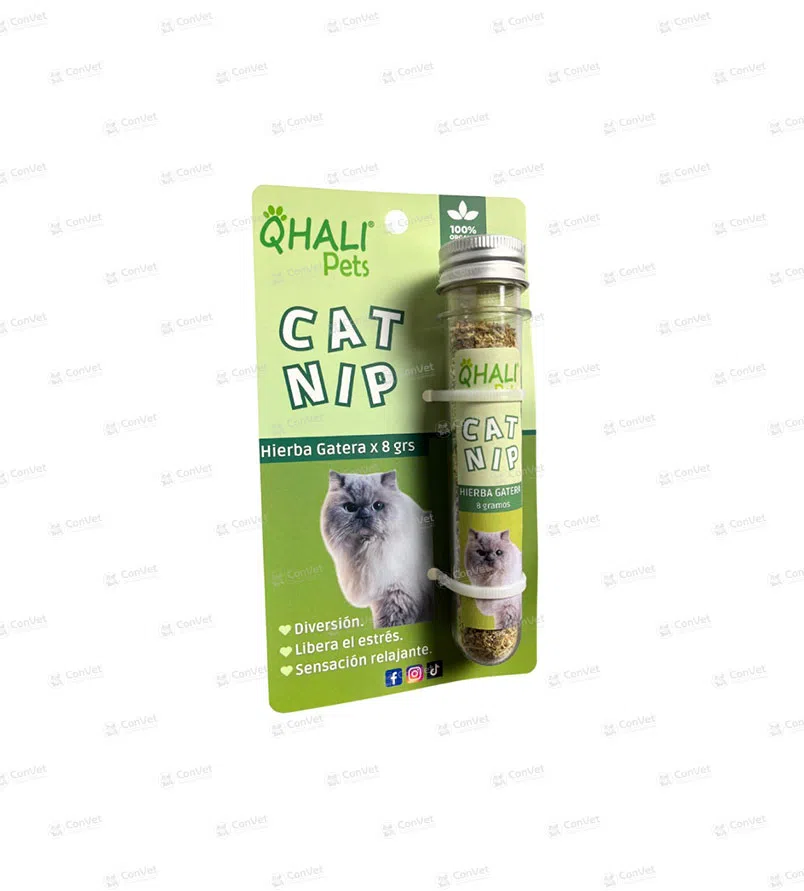 0019999054-CATNIP-EN-TUBO-55-50.webp