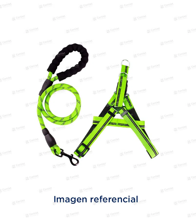 0019999062-ARNES-TIP-TOP-IMPORTADO-264-943-T-S.webp