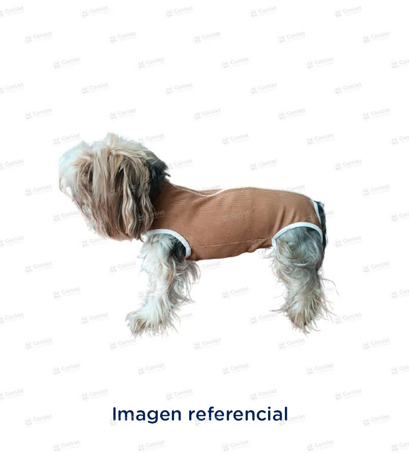 0019999093-FAJA-MODELO-HEMBRA-T-7-ECONOMICO.webp