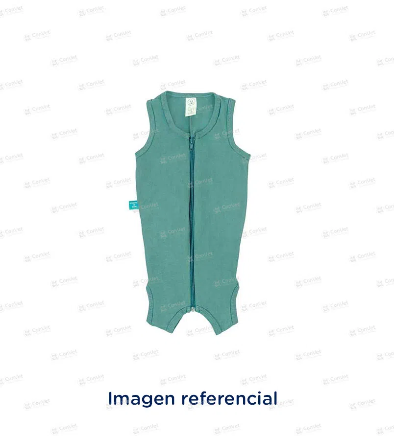 0019999094-FAJA-MODELO-HEMBRA-T-8-ECONOMICO.webp