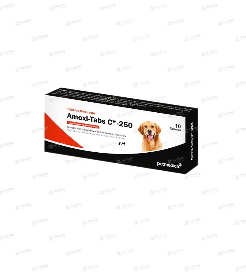 0030101004-AMOXI-TAB-C-250-x-CJ-x-10-UND.webp