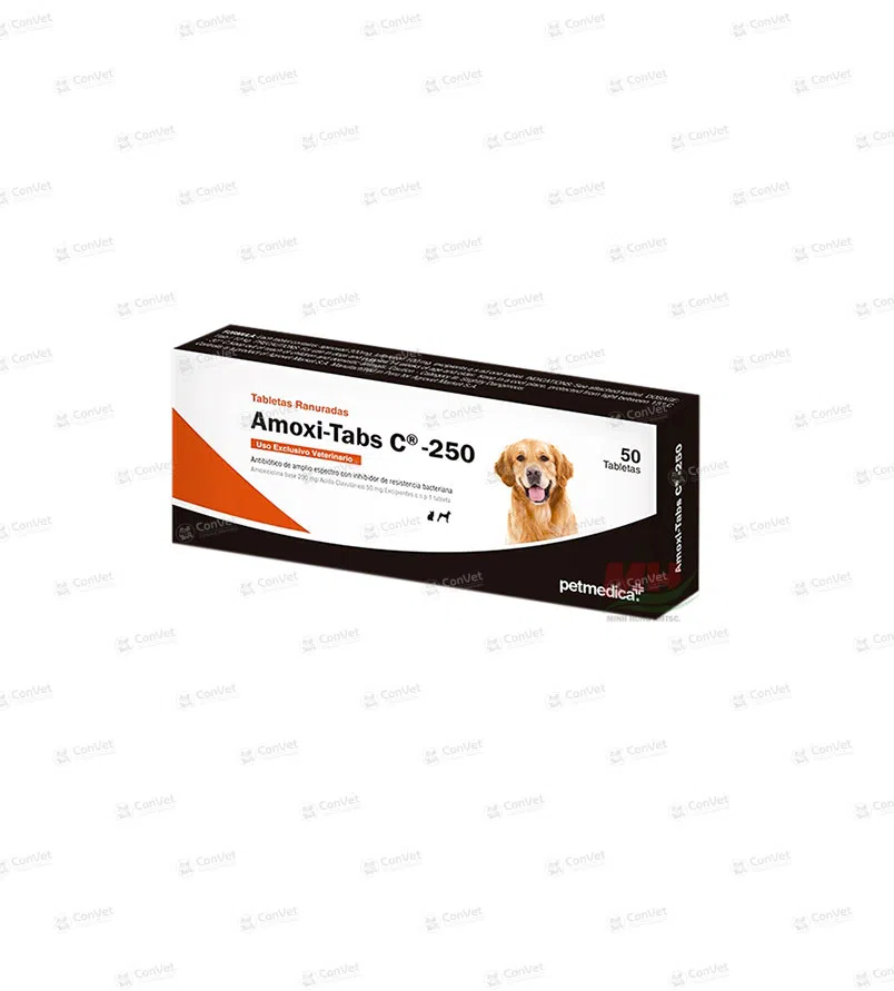 0030101005-AMOXI-TAB-C-250-x-CJ-x-50-UND.webp