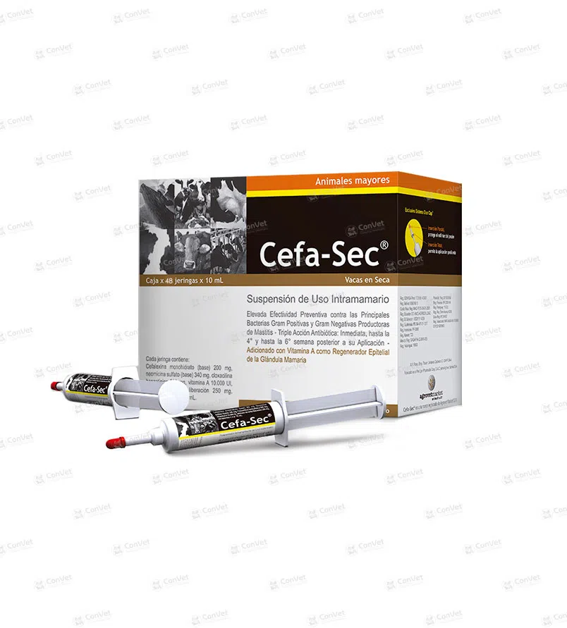 0030101016-CEFA-SEC-x-10-ML-x-CJ-48-JG.webp