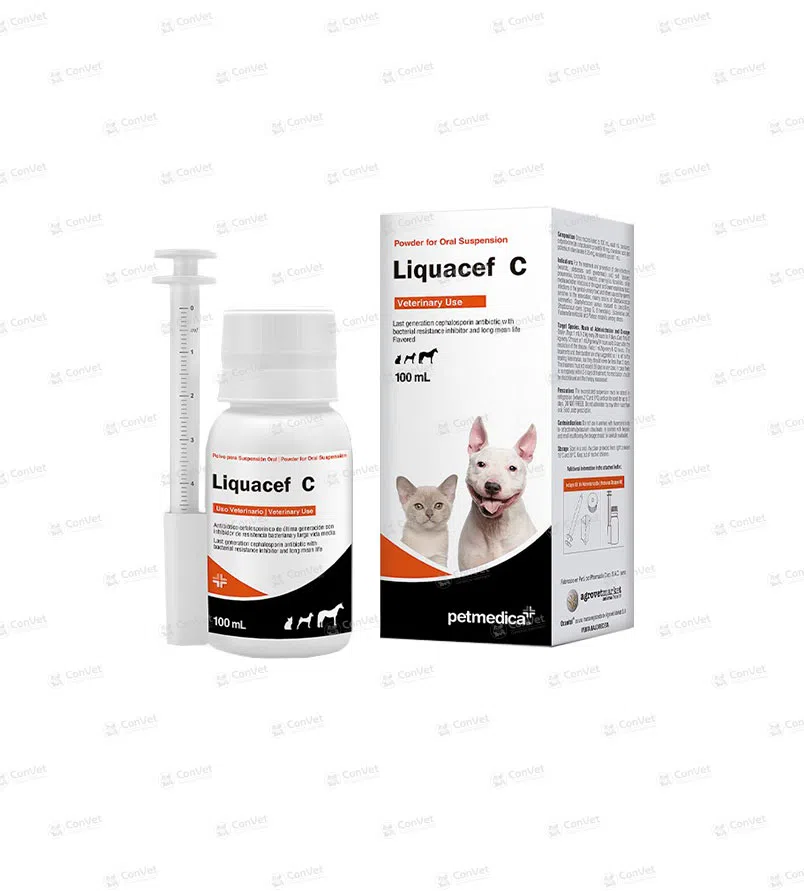 0030101022-LIQUACEF-C-x-100-ML.webp