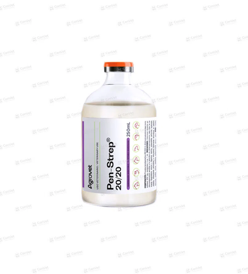 0030101027-PEN-DUO-STREP-250200-x-250-ML.webp