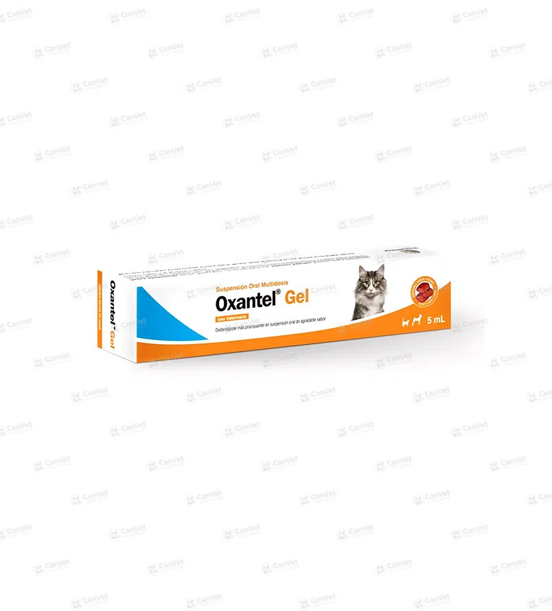 0030116051-OXANTEL-GEL-x-5-ML.webp