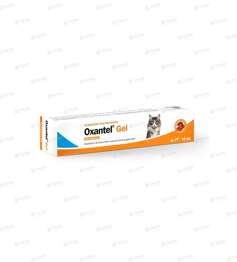 0030116052-OXANTEL-GEL-x-10-ML.webp