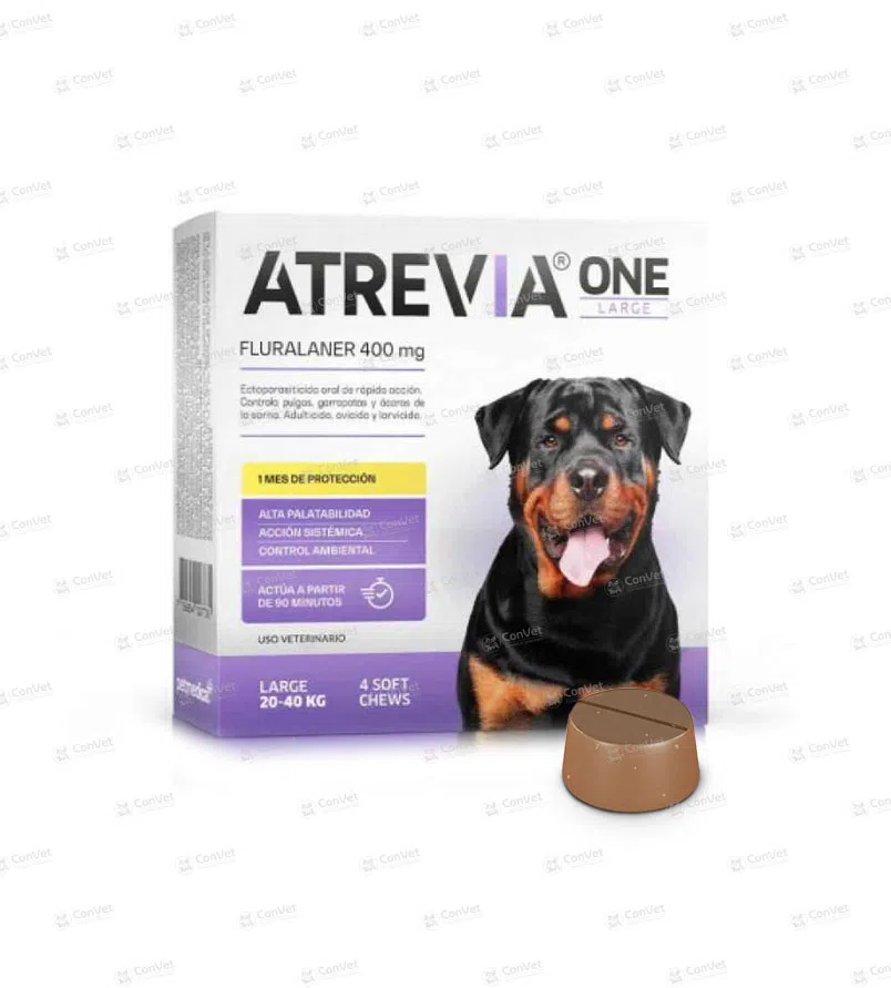 0030116096-ATREVIA-ONE-LARGE-20-40-KG-CJ-x-4-UND.webp