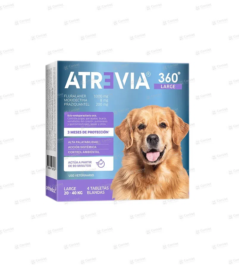 0030116123-ATREVIA-360-LARGE-20-40-KG-CJ-x-4-UND.webp