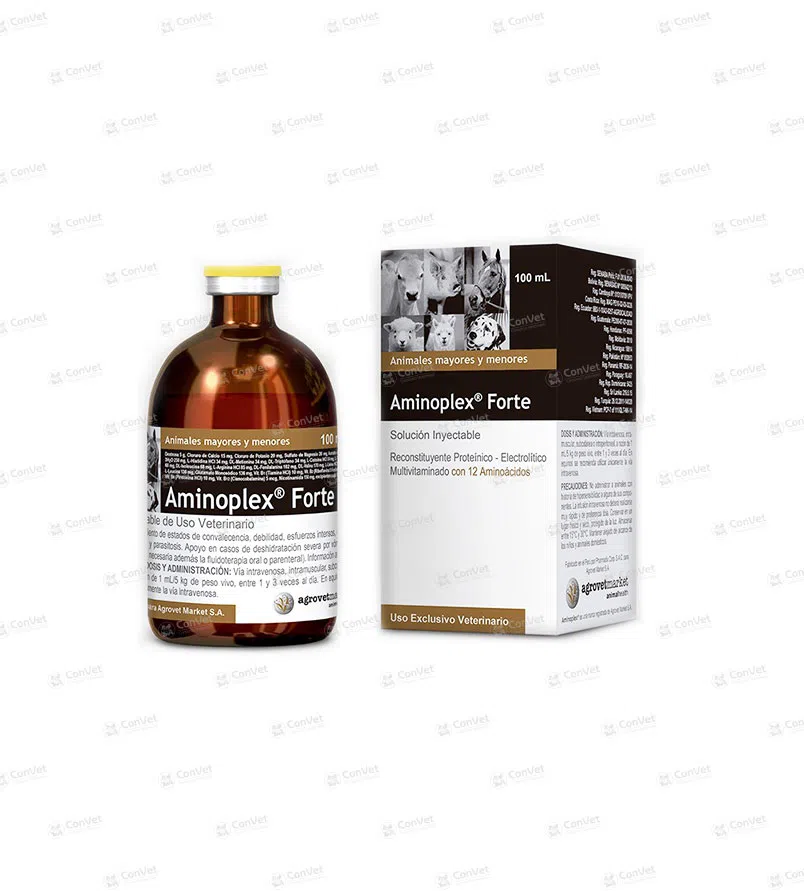 0030137005-AMINOPLEX-FORTE-x-100-ML.webp