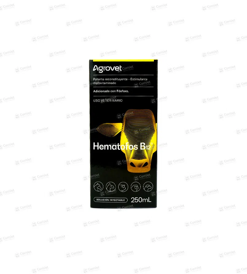 0030137053-HEMATOFOS-B12-x-250-ML.webp