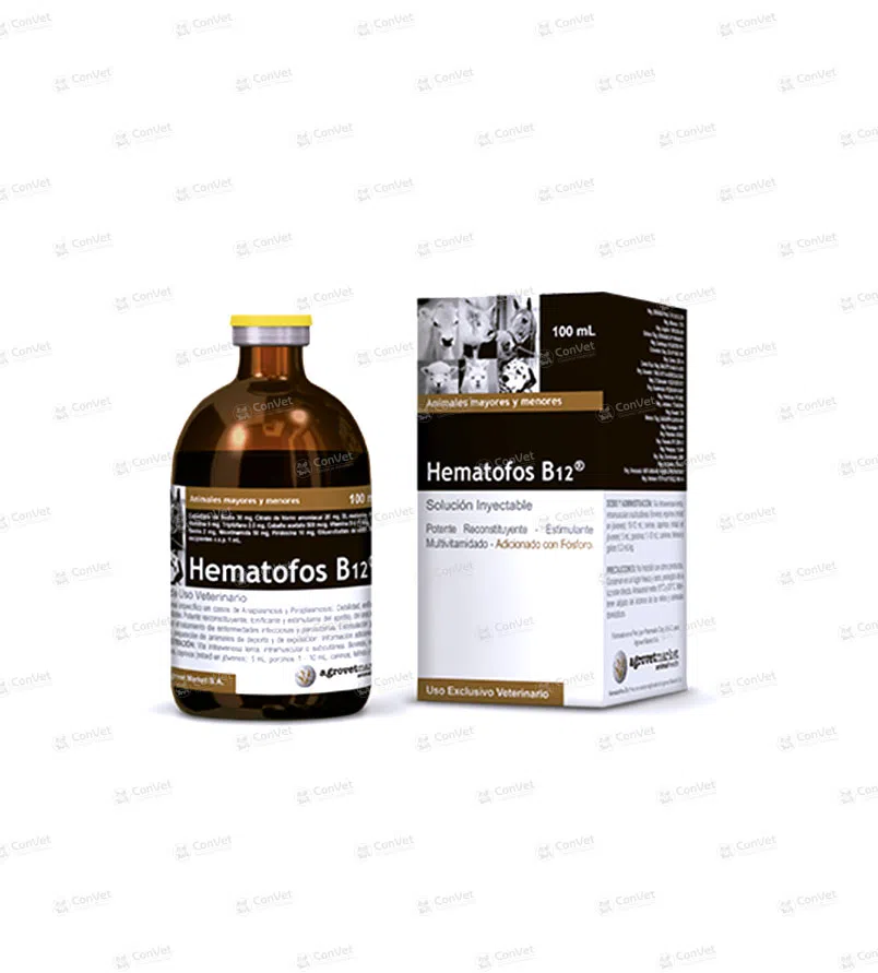 0030137054-HEMATOFOS-B12-x-100-ML.webp