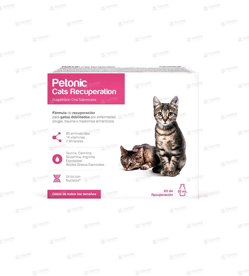 0030137116-PETONIC-CATS-RECUPERATION-x-55-ML.webp