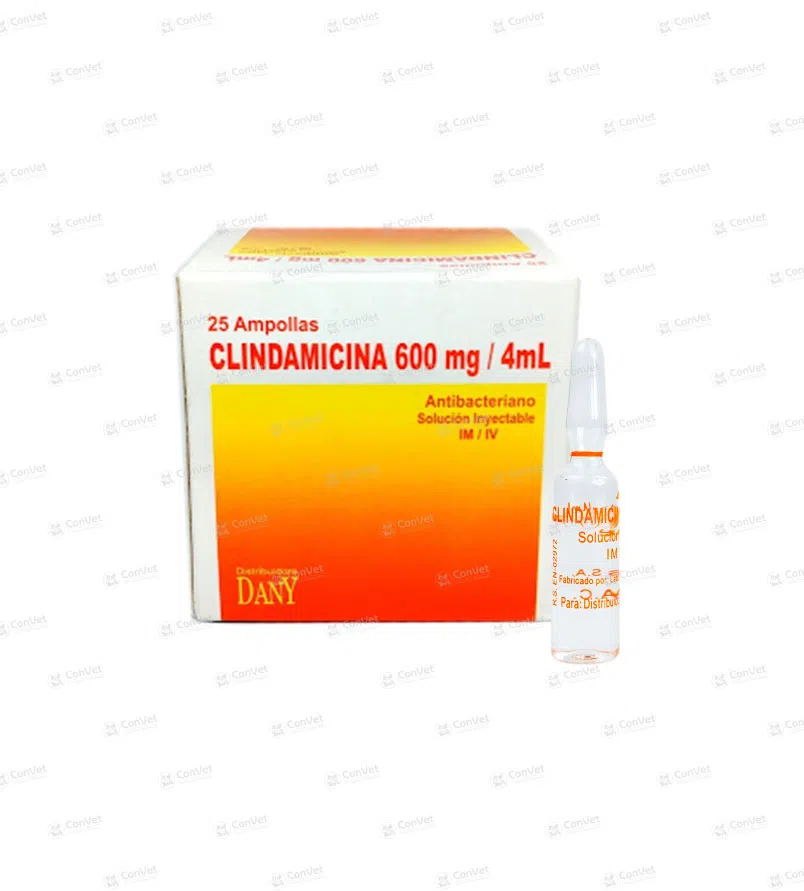 0041025006-CLINDAMICINA-AMP-x-600-MG-4-ML.webp