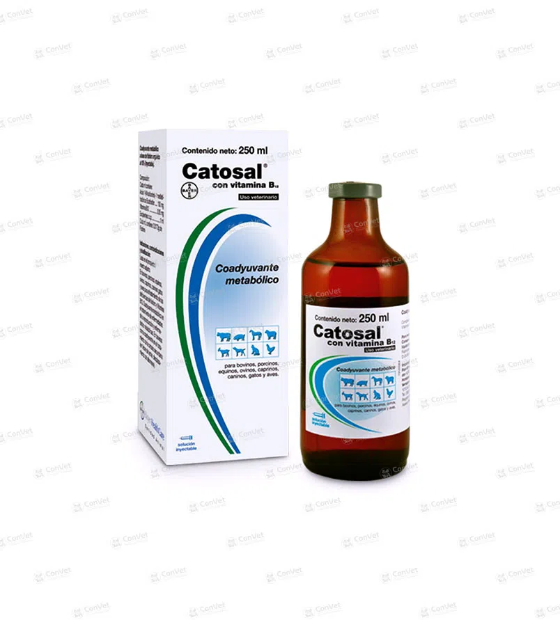 0080137002-CATOSAL-x-250-ML.webp