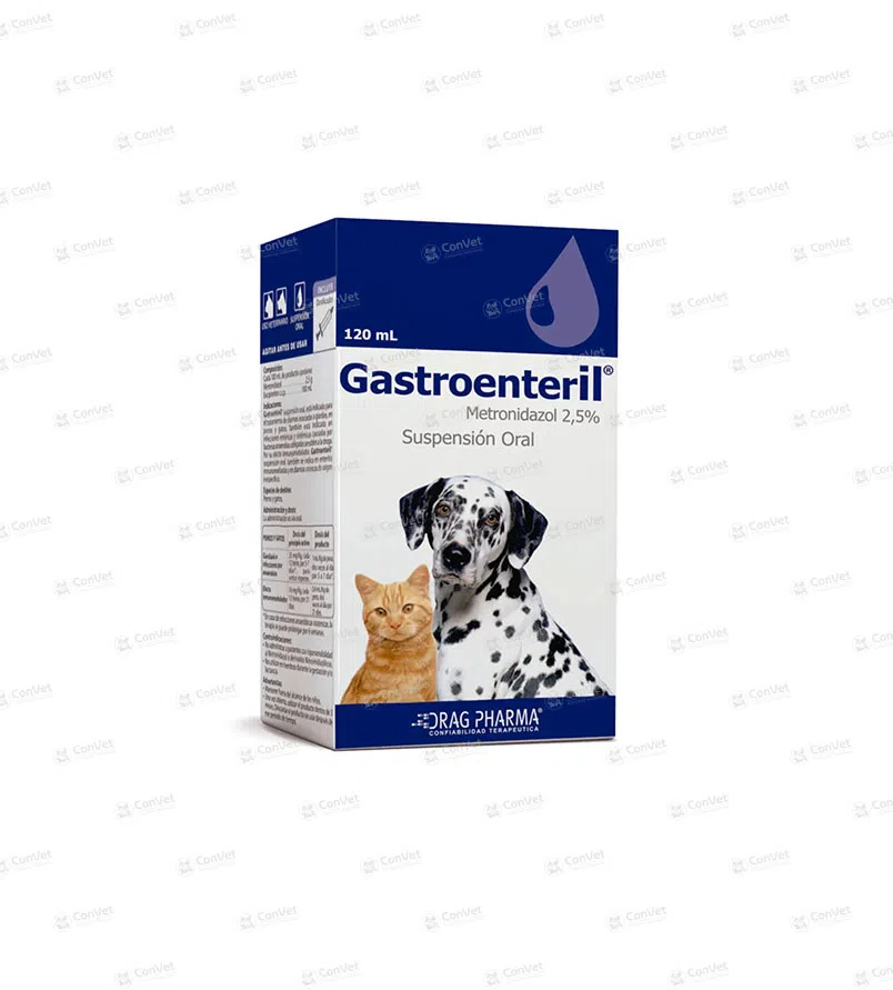 0101016001-GASTROENTERIL-SUSP-ORAL-x-120-ML.webp