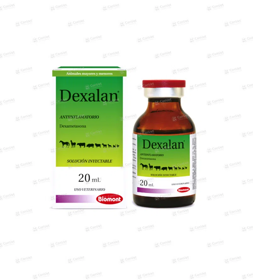 0110113006-DEXALAN-x-20-ML.webp