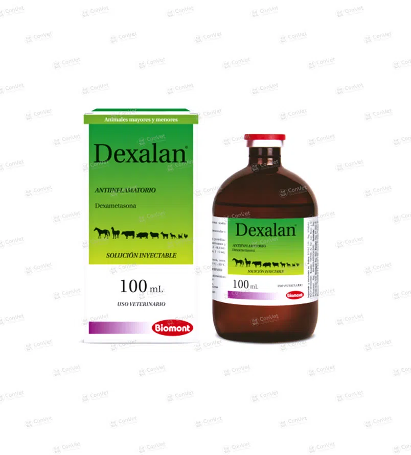 0110113007-DEXALAN-x-100-ML.webp