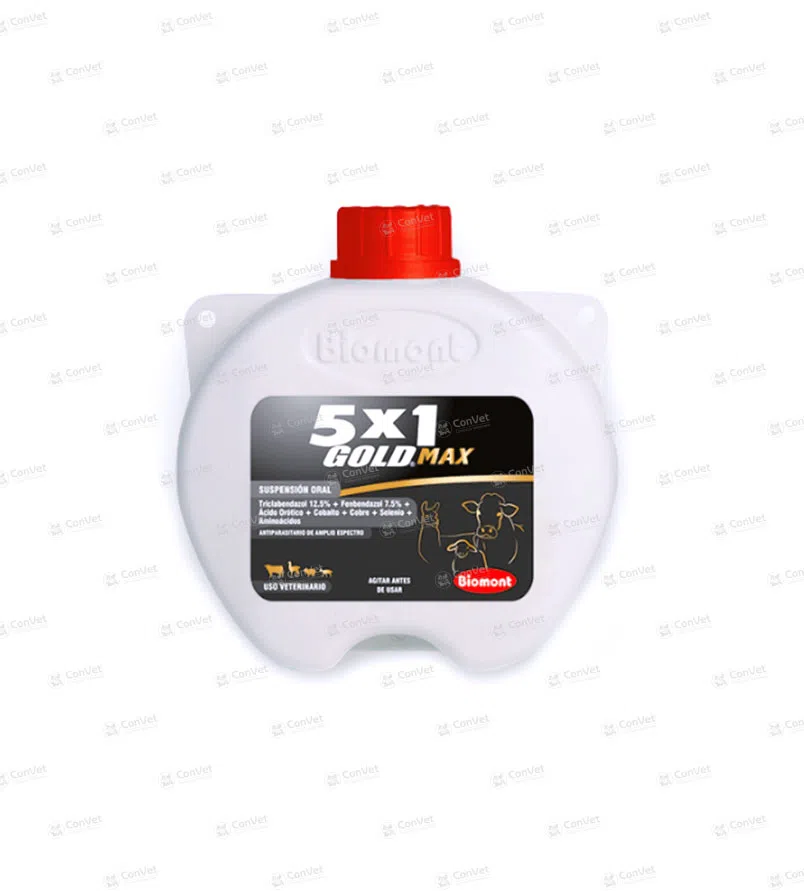 0110116003-5-x-1-GOLD-x-1-LT.webp