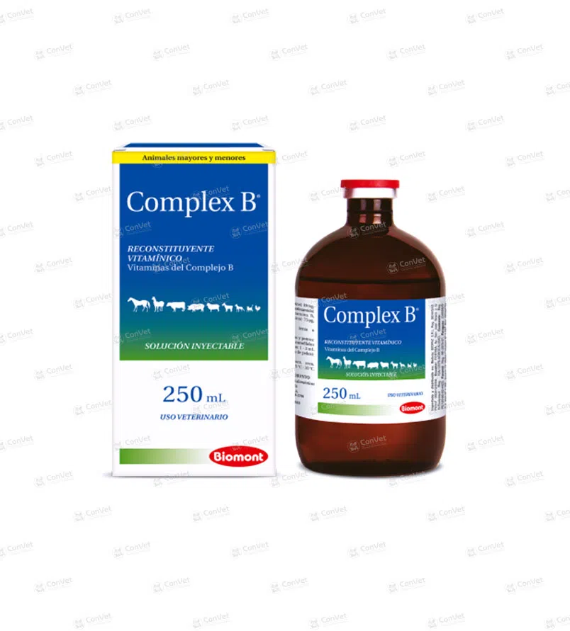 0110137019-COMPLEX-B-x-250-ML.webp