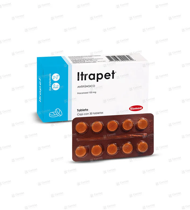 0110199005-ITRAPET-x-30-UND.webp