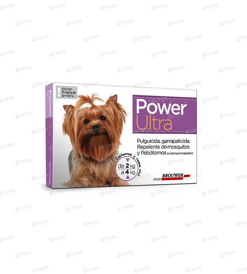0130116002-POWER-ULTRA-2-4-KG.webp