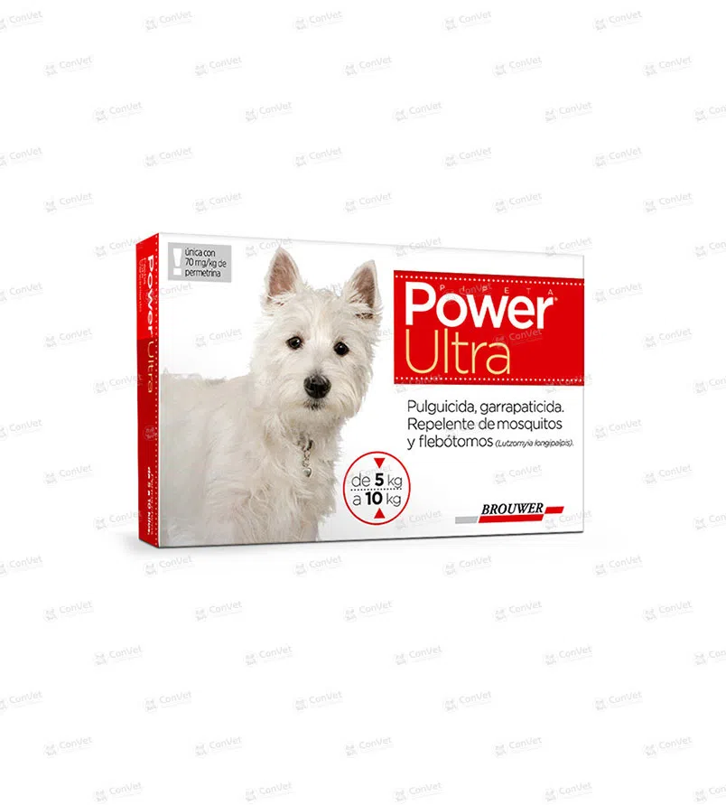 0130116003-POWER-ULTRA-5-10-KG.webp