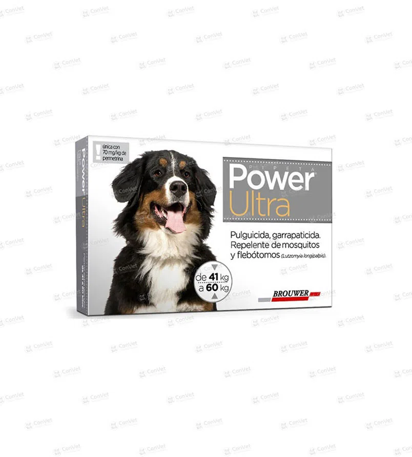 0130116006-POWER-ULTRA-41-60-KG.webp
