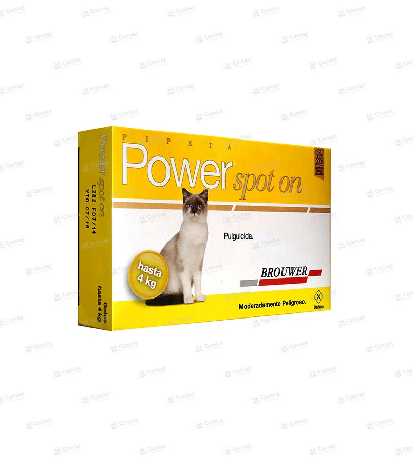 0130116008-POWER-SPOT-ON-GATO-HASTA-4-KG.webp