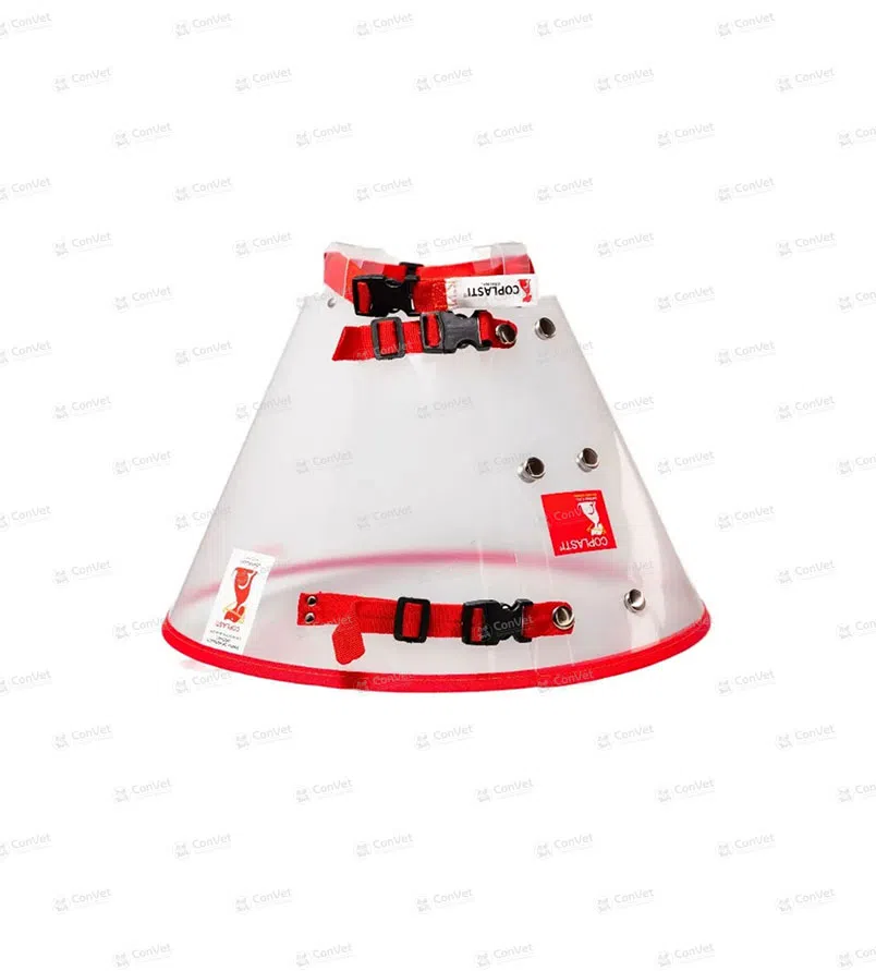 0190602002-COLLAR-ISABELINO-COPLAST-XS.webp