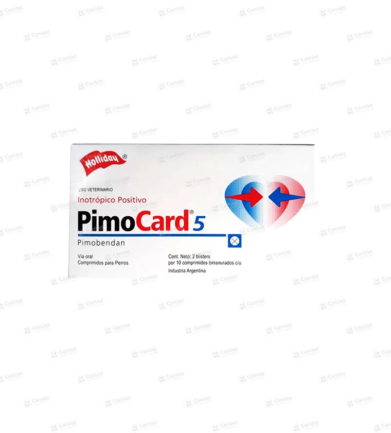 0260101021-PIMO-CARD-5-x-CJ-x-20-UND.webp
