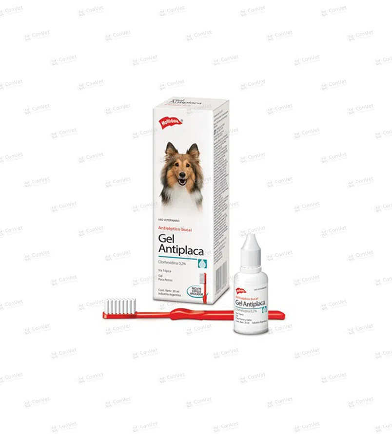 0260118001-CLORHEXIDINA-GEL-ANTIPLACA-x-20-ML.webp