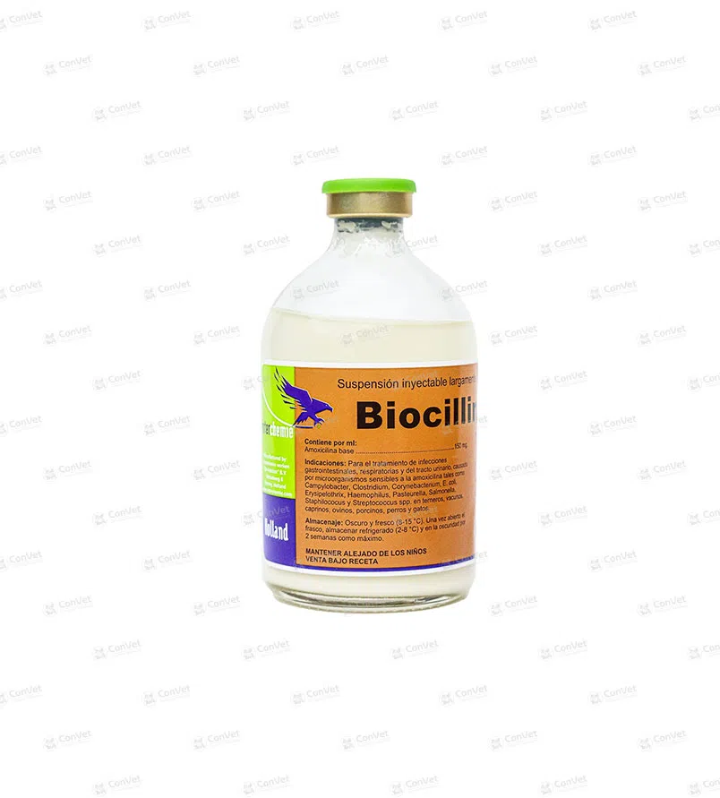 0280101001-BIOCILIN-150-LA-x-100-ML.webp