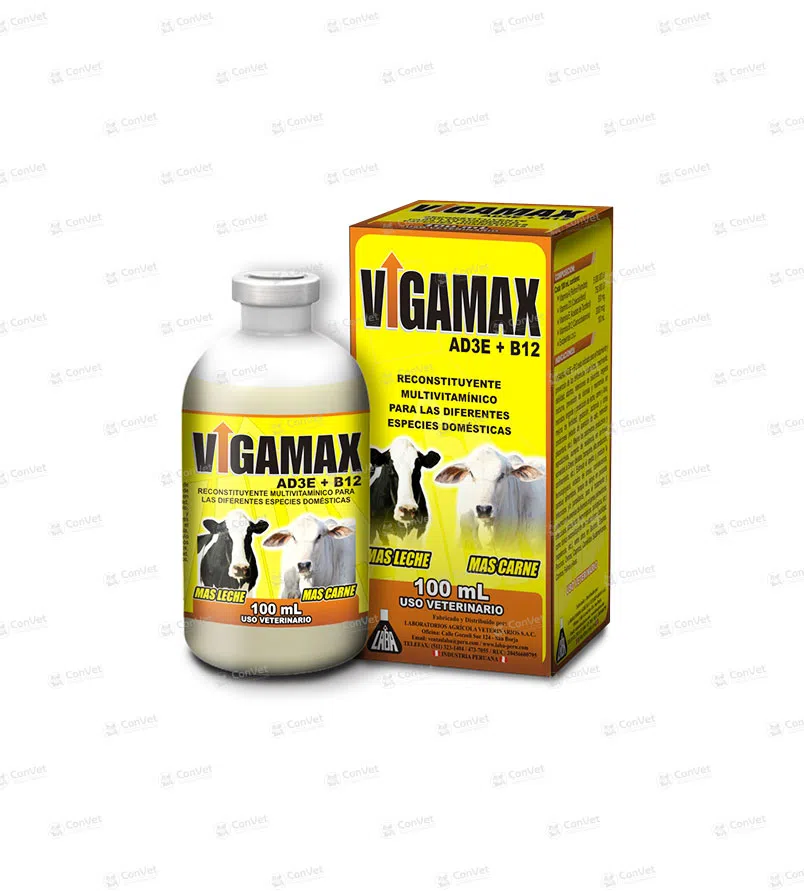 0370137008-VIGAMAX-AD3EB12-x-100-ML.webp