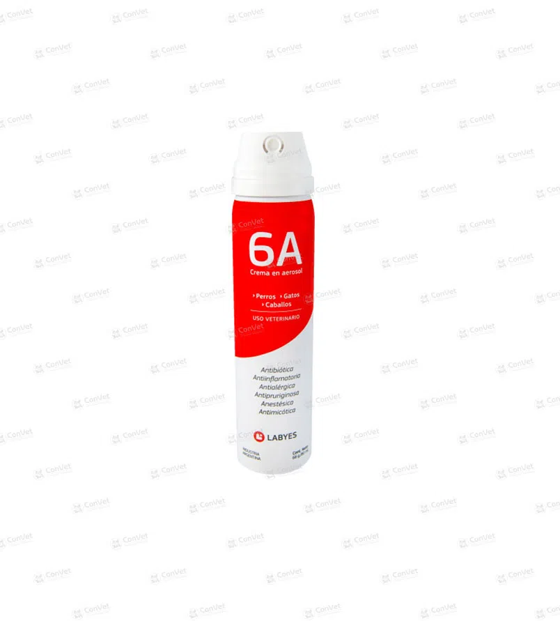 0400101001-CREMA-6A-AEROSOL-x-80-ML.webp