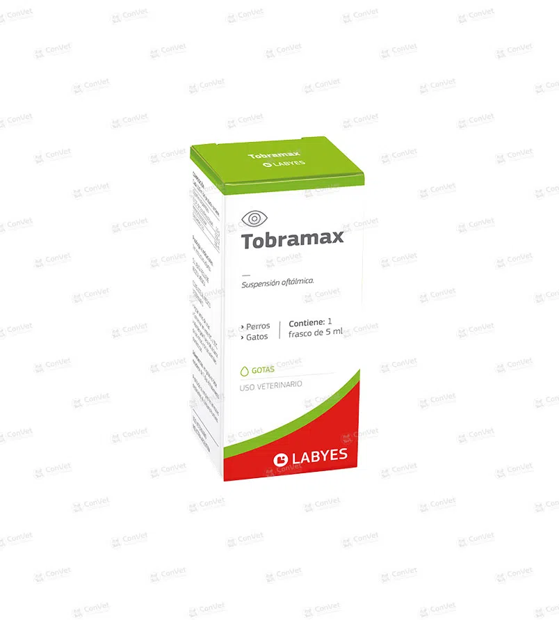 0400101009-TOBRAMAX-x-5-ML.webp
