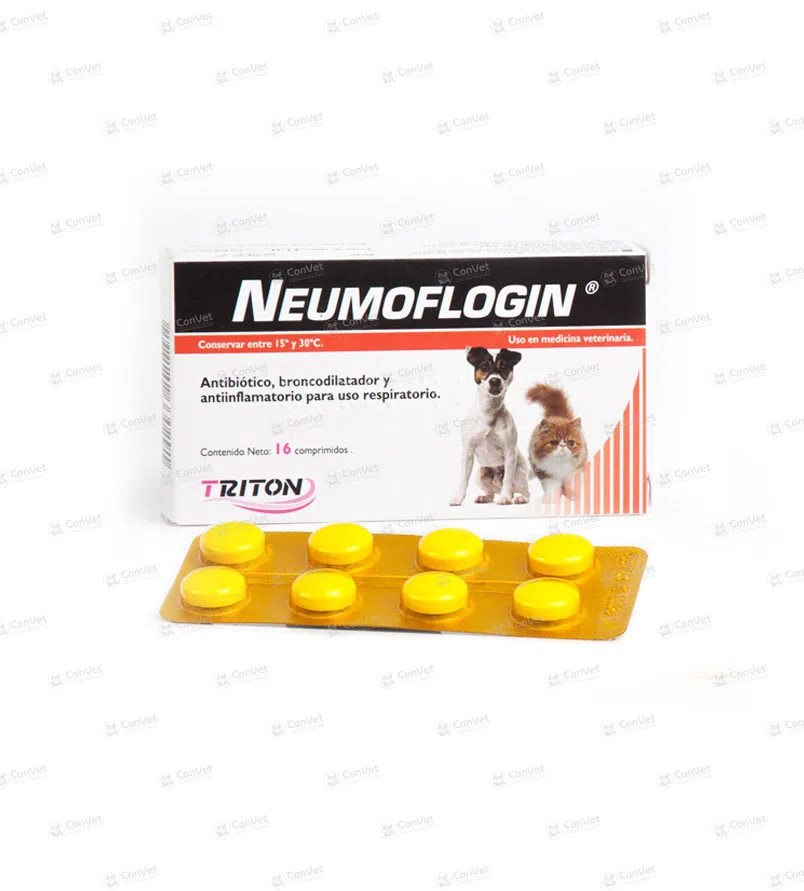 0430101017-NEUMOFLOGIN-x-CJ-x-16-UND.webp