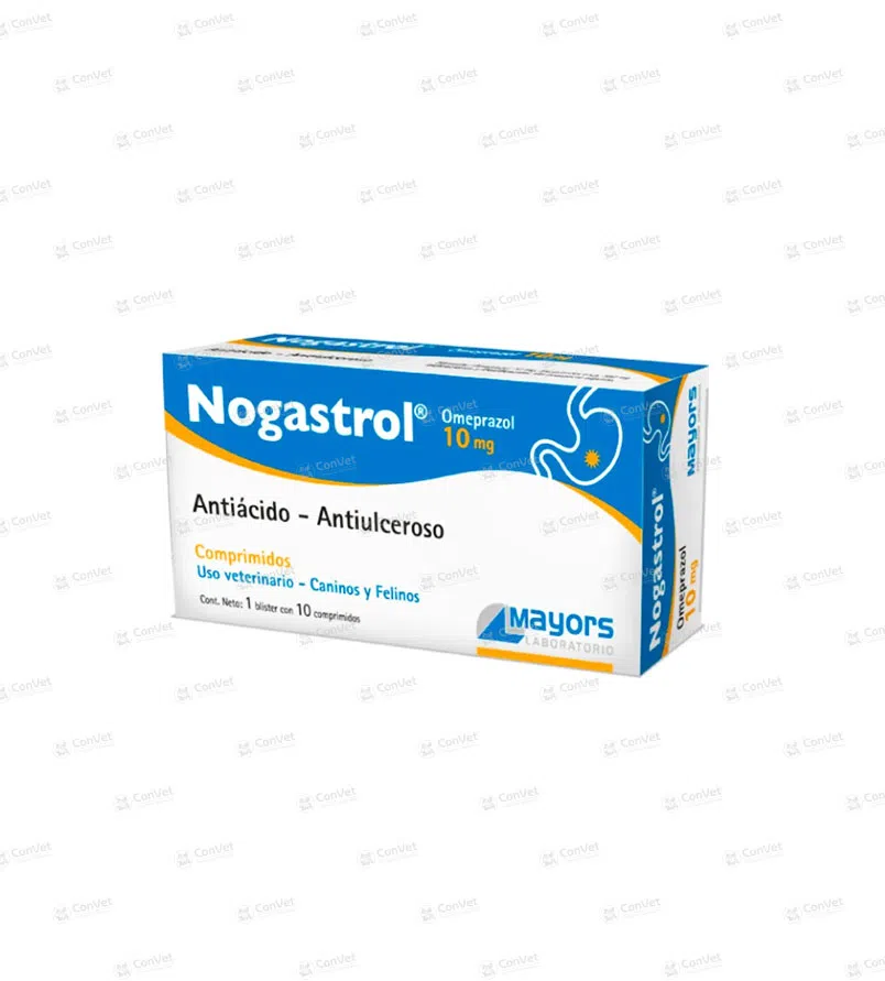 0430101019-NOGASTROL-x-10-UND.webp