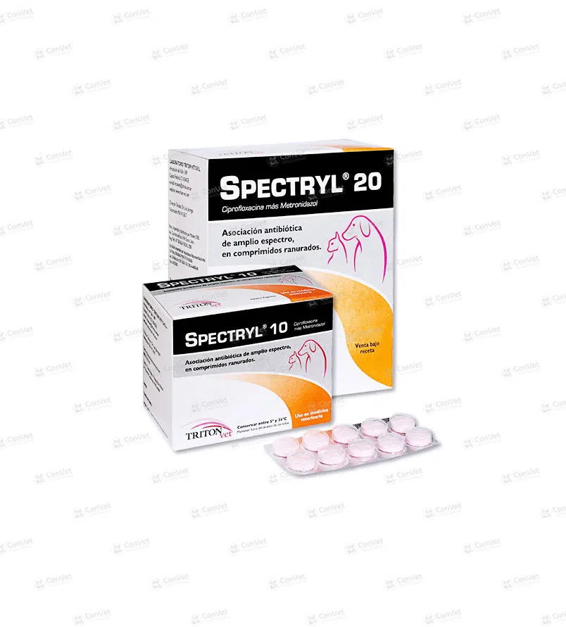 0430101025-SPECTRYL-20-x-10-UND.webp