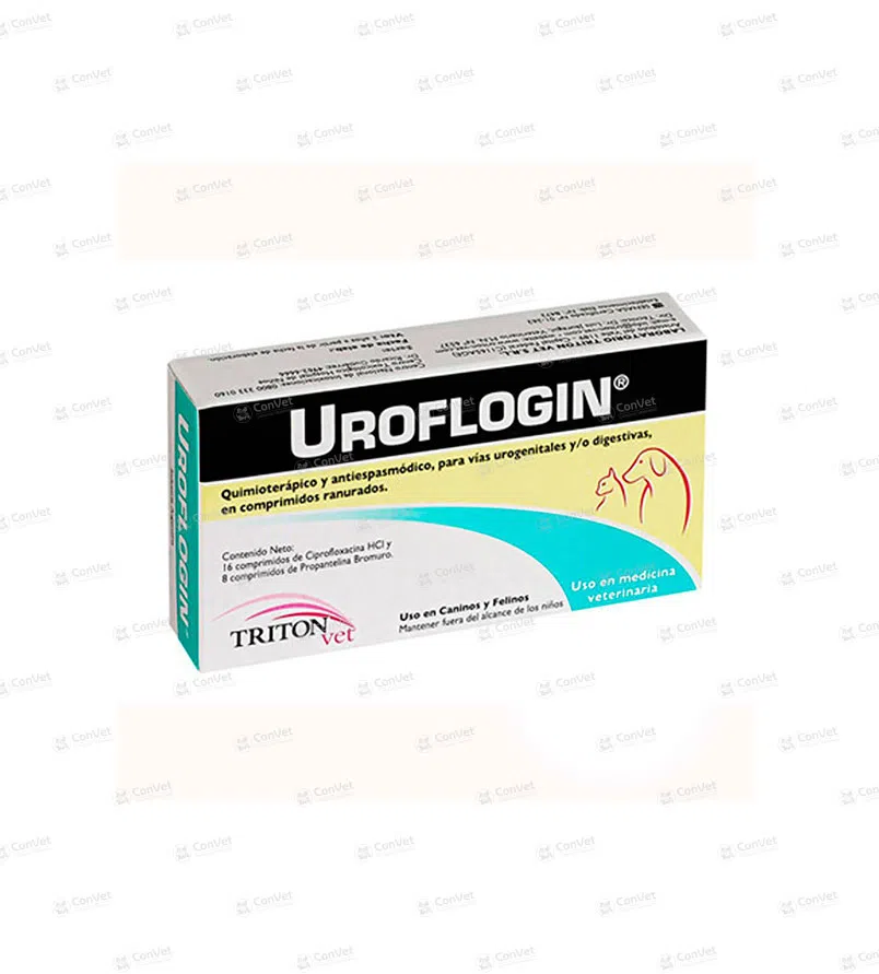 0430101029-UROFLOGIN-x-CJ-x-16-UND.webp