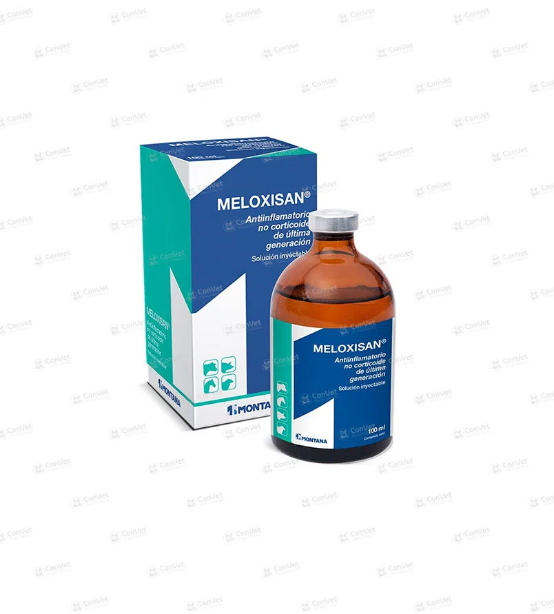 0480113003-MELOXISAN-NEO-x-100-ML.webp
