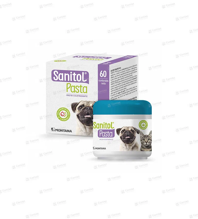 0480118001-SANITOL-PASTA-POTE-x-60-GR.webp