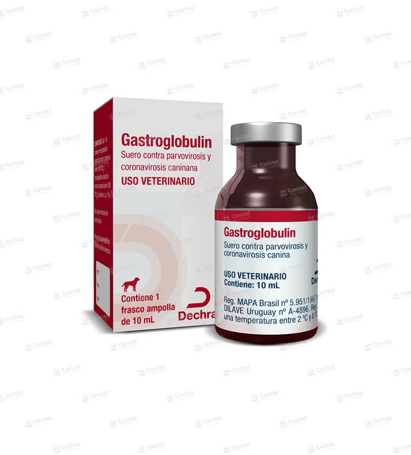 0480535002-GASTRO-GLOBULIN-VIAL-x-10-ML.webp
