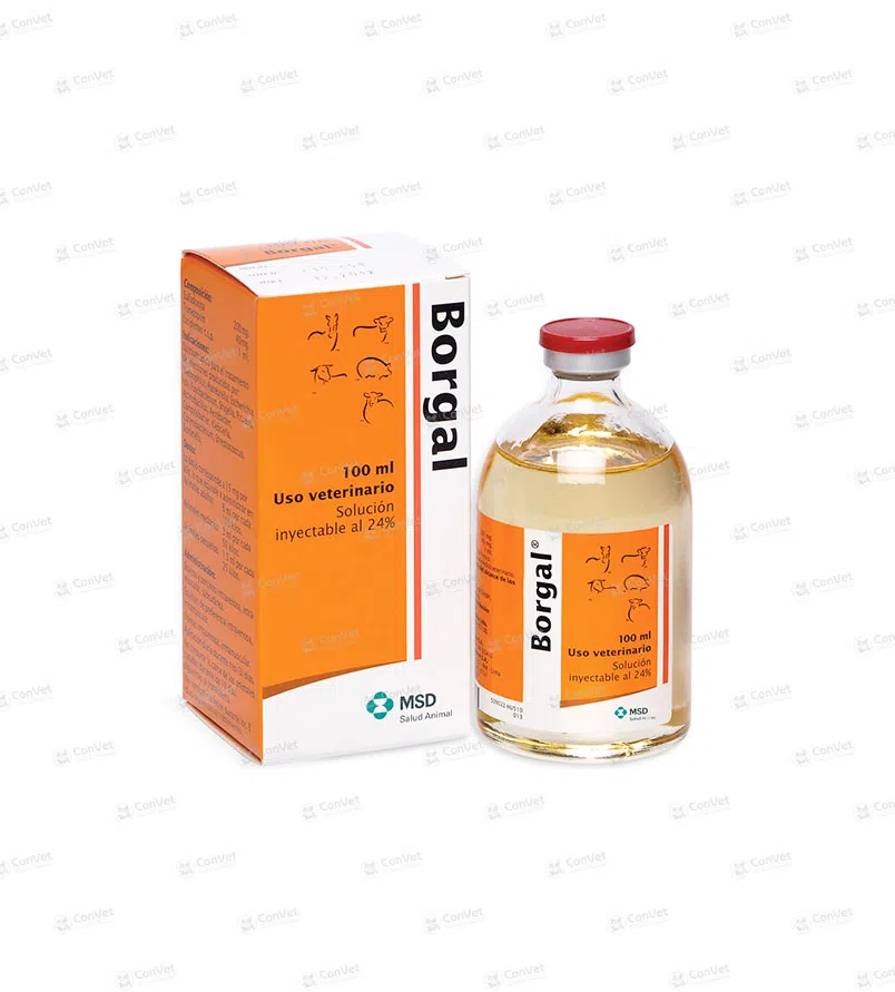 0490101003-BORGAL-x-100-ML.webp